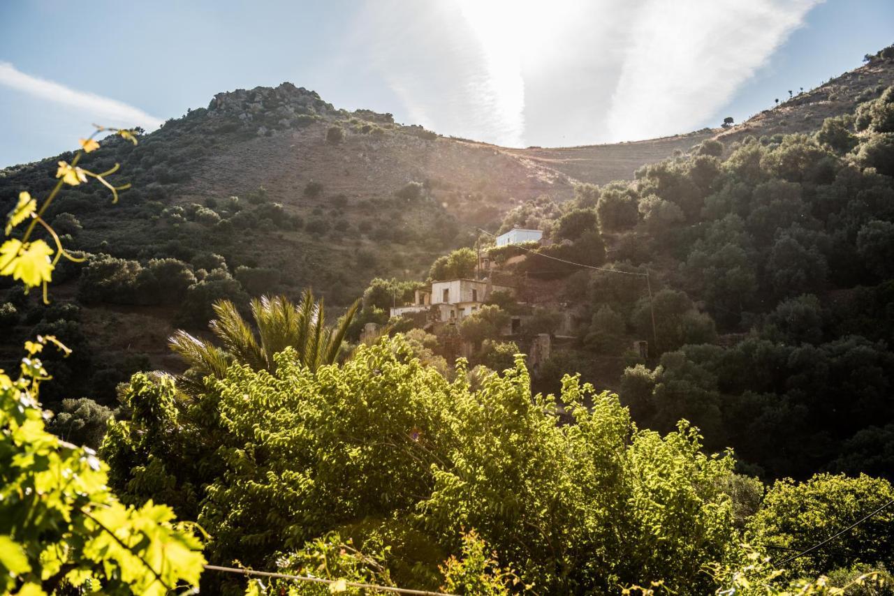 Spitia Anoi Βίλα Παλαιοχώρα Εξωτερικό φωτογραφία